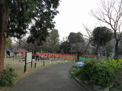 菅刈公園だそうで、それほど大きくない公園ですが、上品な親子がいっぱい遊んでいました。

真っ赤な寒緋桜だけでなく、淡い色の桜も咲いていたのですが、上品な親子の間に下品に入っていて写真を撮るのをはばかられたので、次へ...
