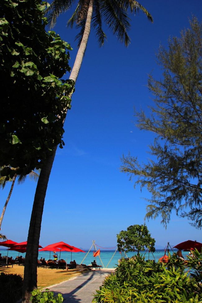 ☆Idyllic Resort , Sunrise Beach @ Koh Lipe Thai<br /><br />客室へのエントランス。