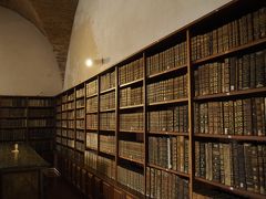 1724年、ジョアン5世治下に建てられた
ジョアニア図書館。

30万冊という蔵書数もさることながら
ターリャ・ドウラーダ（金泥細工）による
絢爛豪華な内装が広く知られており
「世界一美しい図書館」と称されることもある
コインブラ大学一の見どころです。

すべては貴重な蔵書を守るためなのでしょう。
見学時間は厳しく管理されており
メインホールの写真撮影は禁止されています。
（ここは撮影可能なエリアです）