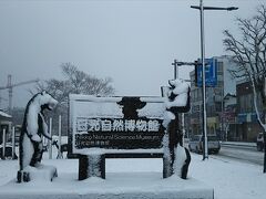 日光自然博物館、今日は定休日だった！で、あったかいところは
バスの休憩室のみ。