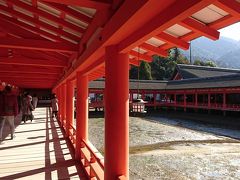 厳島神社の昇殿初穂料300円。
朱塗りの社殿が美しい。