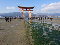 神社から鳥居に行きます。