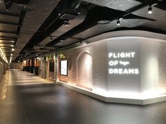 名古屋・中部国際空港（セントレア）『FLIGHT OF DREAMS』

『フライト・オブ・ドリームズ』の夜の写真。

到着後（昼間の時間帯）は人が多く、出発前（夜の時間帯）は
ガラ空きでした。