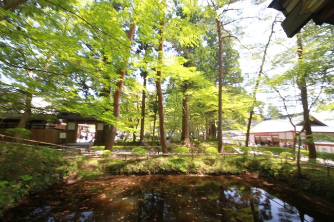 翌日はレンタカーで３０分ほど走って平泉へ。