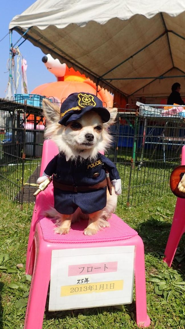 これがほんとの警察犬。