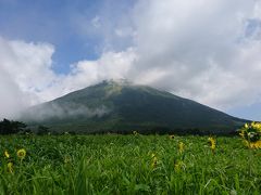 続いて、大山方面へドライブです。
気持ちいいです！
中国地方最高峰の「大山」。日本四名山の一つです。
夏らしくひまわりが群生していました。
