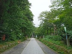 お腹が満足したので、大山寺に散策に。
高度があるので涼しいです。
坂道の長い参道。
