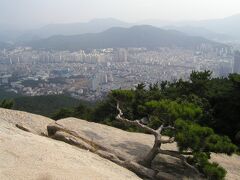 金剛公園から金井山公園を登り始めました。
山道は結構きつかったです。1時間以上登ったような。
釜山の町並みが見えて来ました！