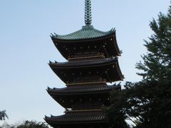 正門のそばに戻ってきました　

かつては寛永寺の持ち物だった五重塔
今は動物園の中にあります