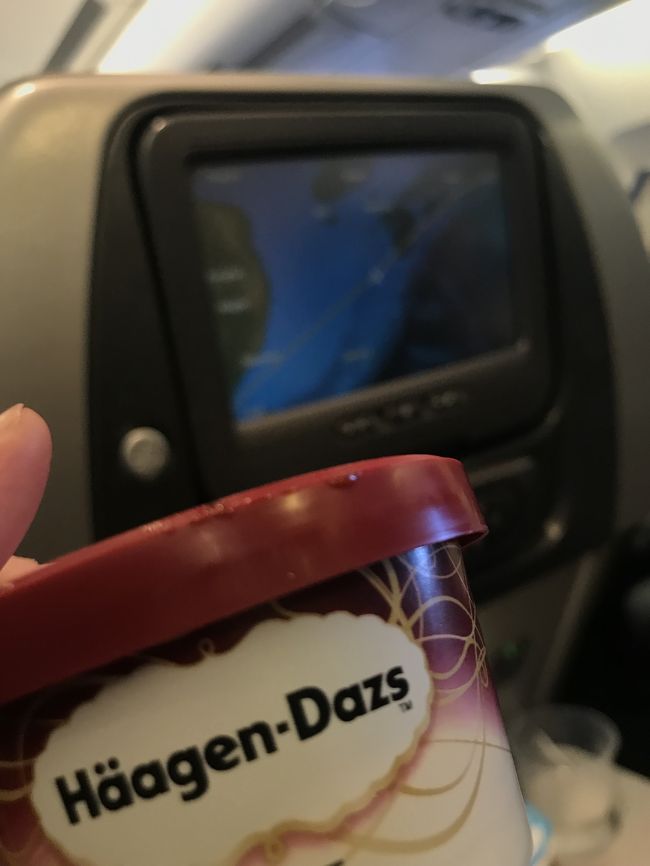 『私、父、母、叔父、叔母、いとこ』の6人で旅行です。<br /><br />いとこと<br />成田空港で待ち合わせ<br /><br />それ以外は、<br />みんなで前日の夜から<br />車で移動しました。<br />（住まいは、私も親も叔父夫婦も東北の○○県）<br /><br /><br />みんな運転免許を持っているので<br />交互に運転し成田まで、、、<br /><br />もちろん私も運転しました。<br />高速道路の運転はケッコー好きです。<br />夜の運転も嫌いじゃないが、、、<br />飛行機では、ほぼ寝てました。<br /><br /><br />成田空港にある旅行会社カウンターで<br />チケット等を受け取り<br />出国！！<br /><br />ラウンジに行きたかったゲド、<br />いとこと私しかカードを持ってないので<br />今回はパス、、<br />残念(T . T)<br /><br /><br />キャセイパシフィック航空で<br />移動！！<br /><br />ハーゲンダッツのバニラしか覚えてない<br /><br />ずっと寝てました。<br />