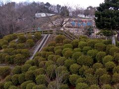 鯖江市 観光 でも知られている西山公園
ここは、レッサーパンダで有名です。
