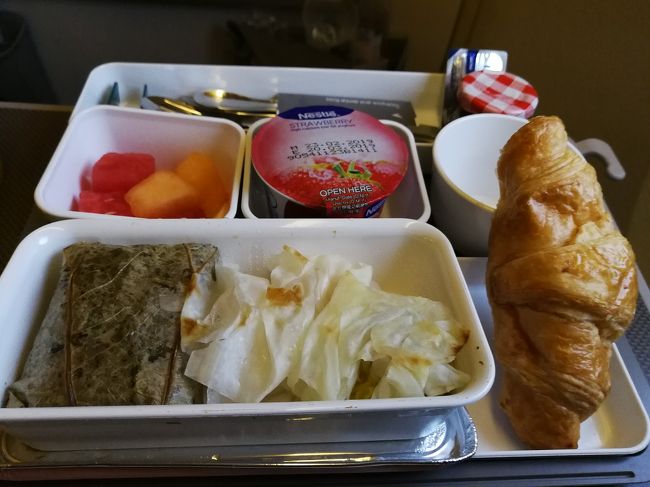 ひたすら寝て、朝ごはん。朝7時半にヨハネ到着。<br /><br />空港オペレーションがひどく、手荷物受け取るターンテーブルの場所が3回も変更になり時間かかる。<br />年に数回しか荷物預けないのに、荷物壊されたりうまくいかないもんだ。<br />毎回荷物預けてる人は、トラブル被害は相当あるんじゃないかと思えてくる。自分の荷物運が悪いだけなのか。。<br /><br />マイカーで空港から帰宅し、スーツケースを遊びから出張仕様に変えて、迎えの車で再び空港へ舞い戻る。<br /><br />来月はいよいよソンクラン、再びアジアに戻ってきます。