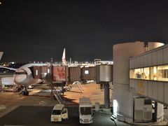 定刻より20分ほど遅れて羽田空港に着陸しました。