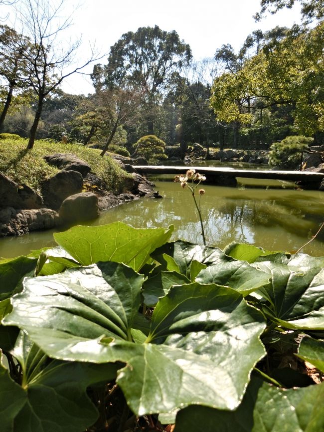 深川散歩道 清澄庭園へ遊びに行こう W 木場 東陽町 清澄 東京 の旅行記 ブログ By ヒサッチ クニさん フォートラベル