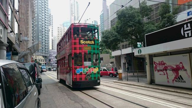 見覚えがある柄