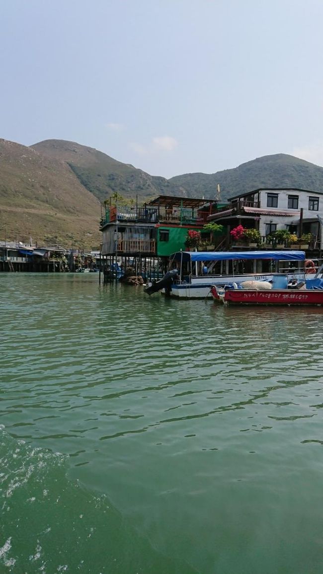 香港とは思えないのどかさですね