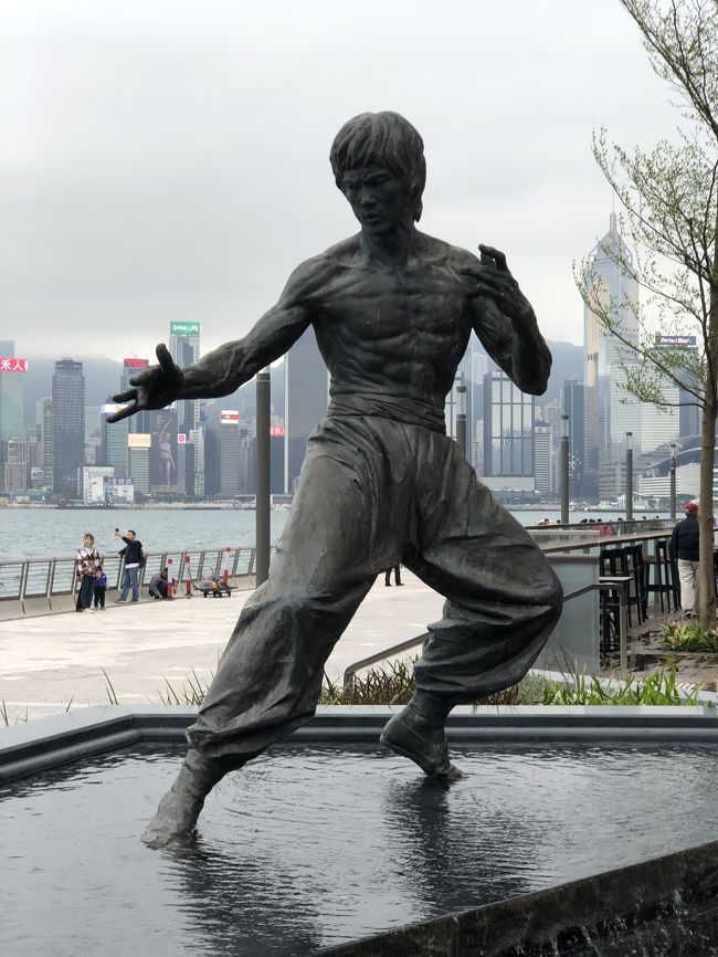 燃えよドラゴン！！<br />ステキです！！ブルースリー！！！