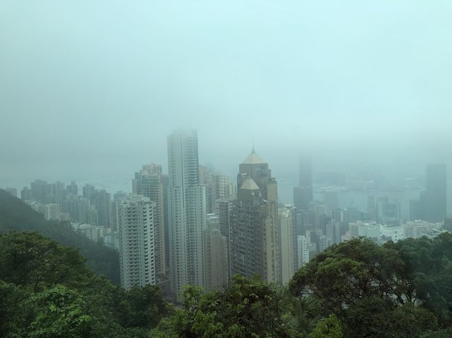 トラムの車窓<br />これは無理、見えないよーん(T ^ T)