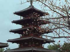 法隆寺の五重塔は、日本最古の塔です。　

飛鳥時代なんて昔、クレーンやCADなんてもちろんなかった時代にどうやってこんなのを建てたんだろう?!　そして地震などにも耐え、現在も創建当時の状態で残ってるなんて昔の人は凄いよね、ホントに…(相変わらず小学生みたいなコメントしか出来ない自分が恥ずかしい^^;)。