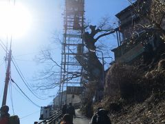 御岳神社方向に向かう道中にある巨木メンテ用足場が、ド迫力です。