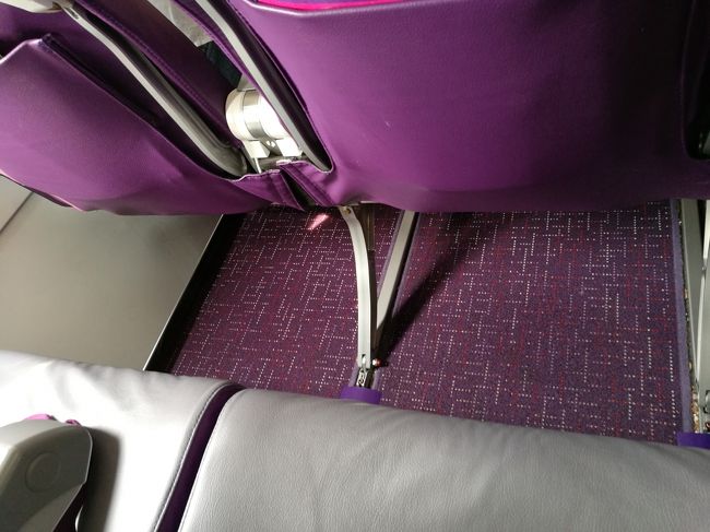 シートピッチもそんなに窮屈ではありません。