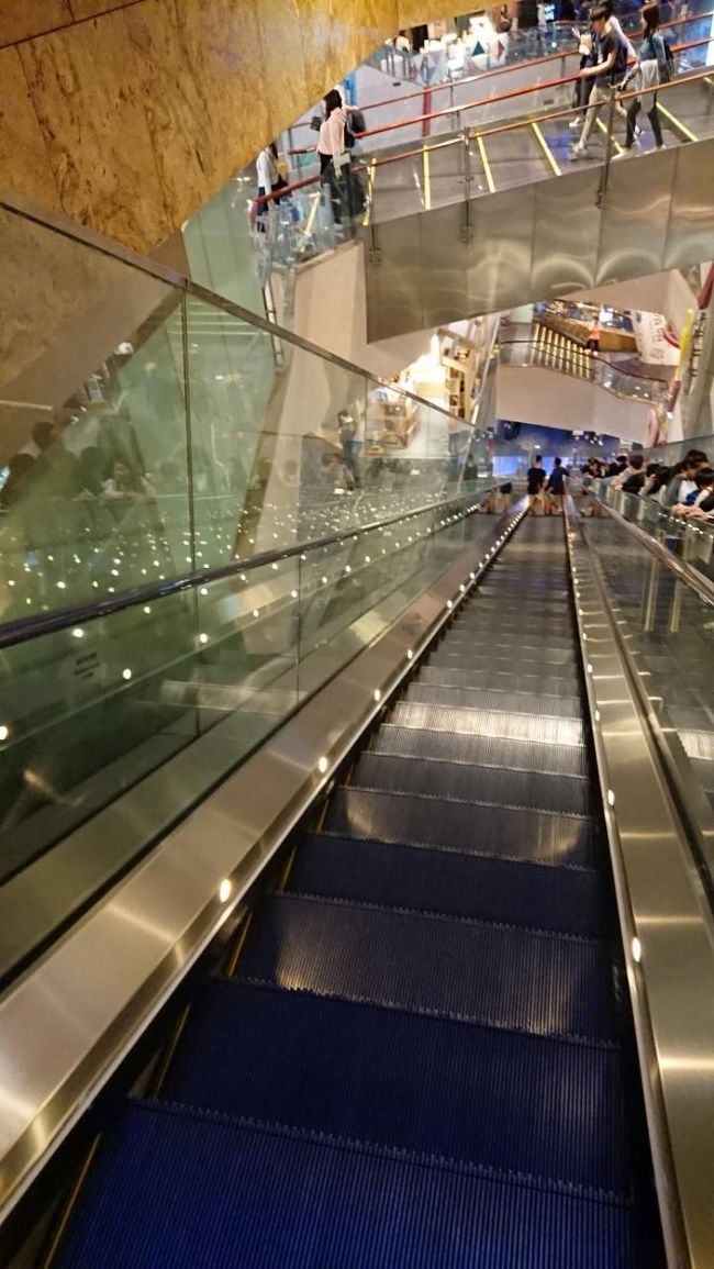 下りは、怖いです( ;∀;)