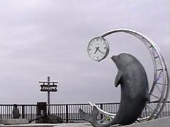 宗谷岬からちょうどいいバスが無く、タクシーに乗ってノシャップ寒流水族館へ。アザラシが印象的な、こじんまりとした水族館でした。水族館の外広場にあるイルカのオブジェはなぜか時計は時刻が違い、故障していた模様。