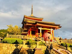 若干曇り空の清水寺。

昨日は雨だったから、曇りでも良し！