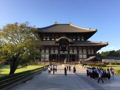 【東大寺盧舎那仏像（とうだいじるしゃなぶつぞう）、奈良の大仏様】

この時期、観光ハイシーズンを、微妙にはずしていますので（時間的にも）、すごくスカスカで、さわやかな気持ちで.....