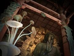 【東大寺盧舎那仏像（とうだいじるしゃなぶつぞう）、奈良の大仏様】

その後、約400年後の1180年と更にその後の1567年に焼失した.....

......らしい.......

でも、簡単に２回、過去に消失っていうけど........

400年にいっぺん、燃えている......と言われても........ねぇ..........

......時間的なスパンが........長すぎて、なんのことだかわからない......

私の人生、５生に一度......って、ほとんど燃えていないじゃん............

写真：
右手の中指だけが、少し手前に折れているのが......気になる......