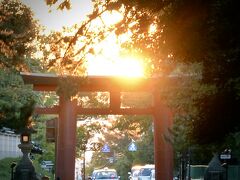 【奈良公園】

こうやって、日本へ戻った時に、久しぶりに日本の木造の建造物を見るにつけ......

「やっぱ、日本の歴史ある建築物は、すげぇや....」と、改めて感動、思いを新たにするのでした........