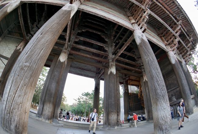 そうだ「奈良」に行こぉ。「うまき(かも)、うるわしき(かも)の奈良」#4(東大寺、南大門の金剛力士と猿沢の池編/奈良市/奈良県)