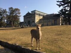 奈良にどうしても寄りたいのであればこの方法がいいでしょう。
そんな人いるのでしょうか

筆者は奈良の友人宅に泊めてもらうことになっていたのでそうしましたが