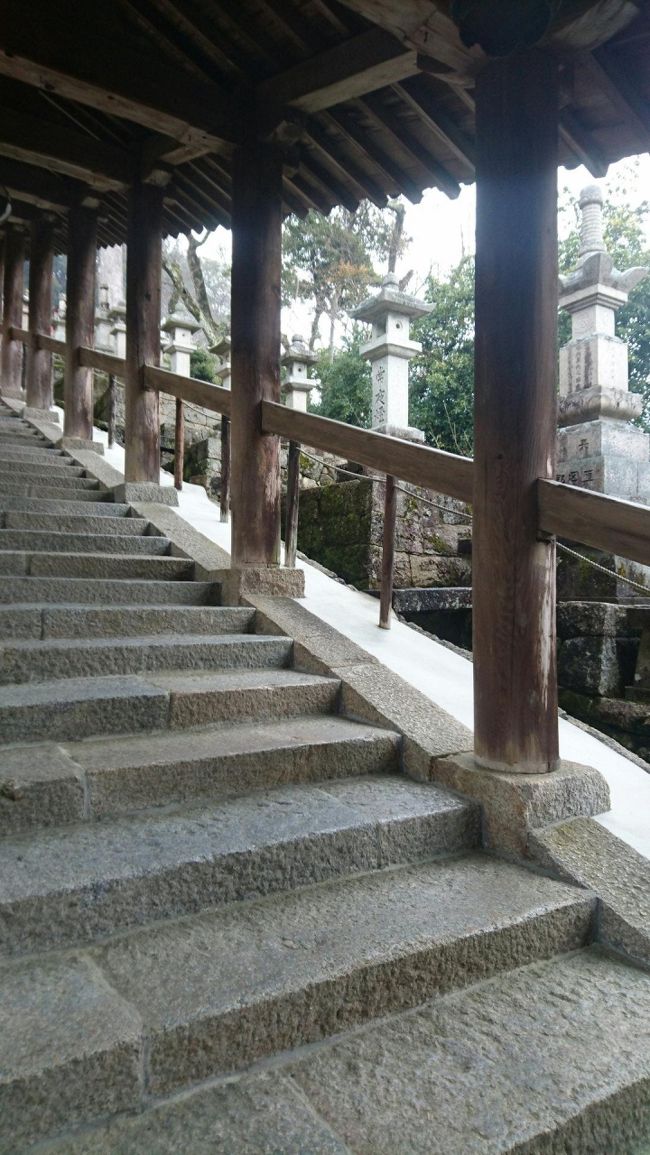 登廊から見る光景も素敵。