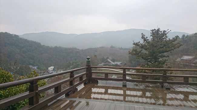 山の景色が綺麗。