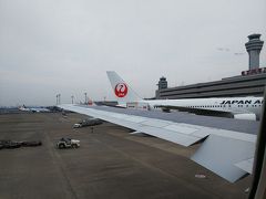 JAL183便、羽田7:55発―小松9:00着
ちょうど7時着のリムジンバスがあったので、今回は楽々羽田空港へ。
朝早いので、起きるのがやっとだった母娘。
朝ごはんは、カードラウンジでクロワッサンとコーヒーで済ませ、時間通りに搭乗です。
朝の羽田は、どんより曇ってます。