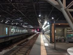 札幌駅から 普通列車で約３時間。
夜の１０時半すぎに、旭川駅に到着。
