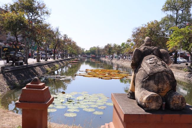 ターペー脇の お堀<br />象のお尻が  セクシー