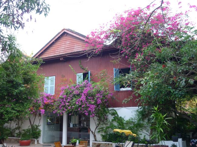 ホテルフロント付近。<br />ブーゲンビリアがきれいだ。<br />