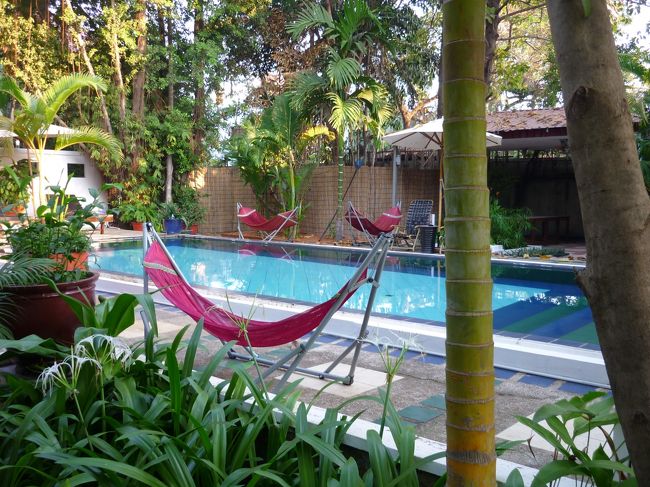 毎朝プールのまわりの掃除とプールの表面の掃除をしているようなので、水はきれいだ。