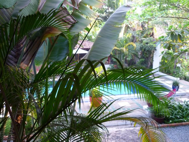 周囲は亜熱帯植物に囲まれ、緑の木陰で気持ちが良い。<br />大きなプールよりこれくらいのプールで人が少ないのがちょうどいい。