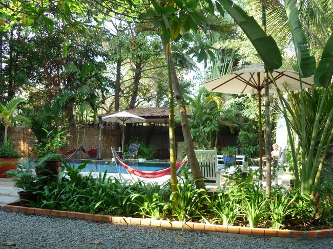 庭にプールがある。