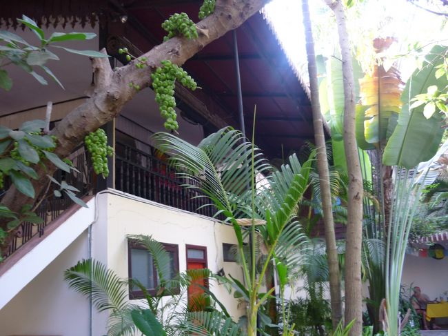 朝晩は暗くて涼しいので、扇風機だけで充分である。