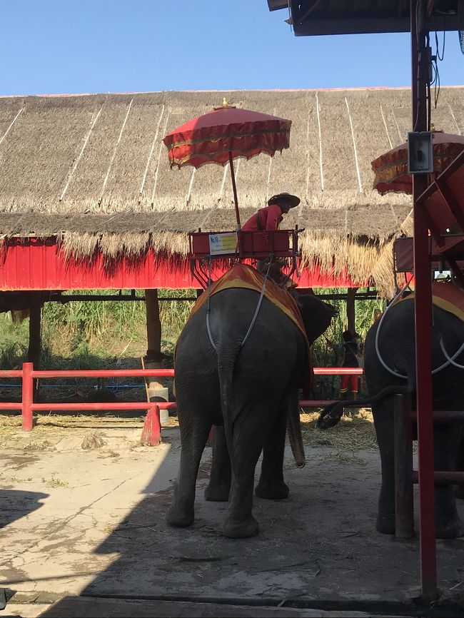重量オーバーにならないか心配ですw