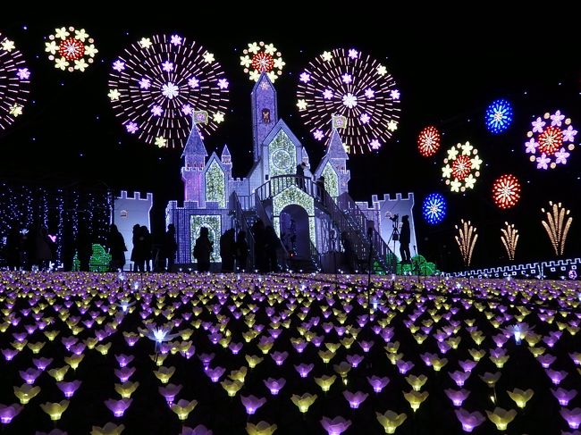 平成最後の年末年始は栃木で 後編 あしかがフラワーパークのイルミネーションに感動 足利 栃木県 の旅行記 ブログ By ちゃみおさん フォートラベル 平成最後の年末年始は栃木で 後編 あしかがフラワーパークのイルミネーションに感動 足利 栃木県 の旅行記 ブログ By ちゃみおさん フォートラベル