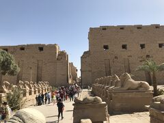 バスでしばらく移動し、カルナック神殿に到着。

約3500年前に造られたエジプト最大の神殿で、高さ約23mの巨大な柱が約130本残っていて、ルクソール神殿を繋ぐ3キロの参道には、羊が顔のスフィンクスが建ち並んでいたそうです。 
