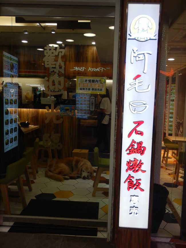 鍋もの屋のゴールデンちゃんが可愛い。