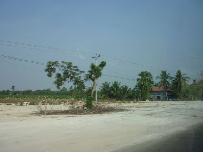 この季節ではツクツクを利用していくのは、避けた方が良いだろう。