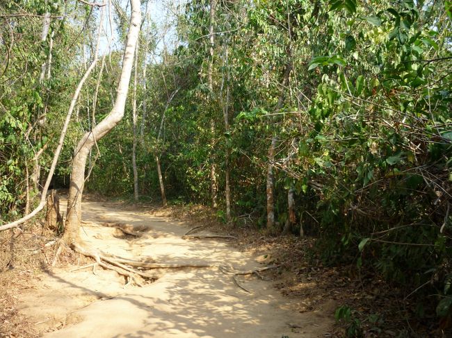 ここから遺跡のある山の上まで1700mらしい。