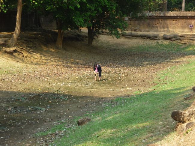 大体ここは雨期には池になるはずで、ガイドさんによるとナマズをとっているらしい。
